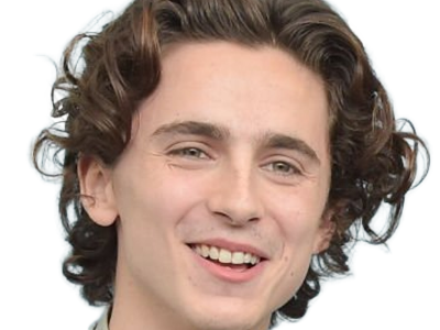 timothe chalamet acteur americain francais cinema homme vingtenaire vingtaine cheveux-bruns cheveux-boucles yeux-verts 2019