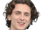 timothe-chalamet-acteur-americain-francais-cinema-homme-vingtenaire-vingtaine-cheveux-bruns-cheveux-boucles-yeux-verts-2019