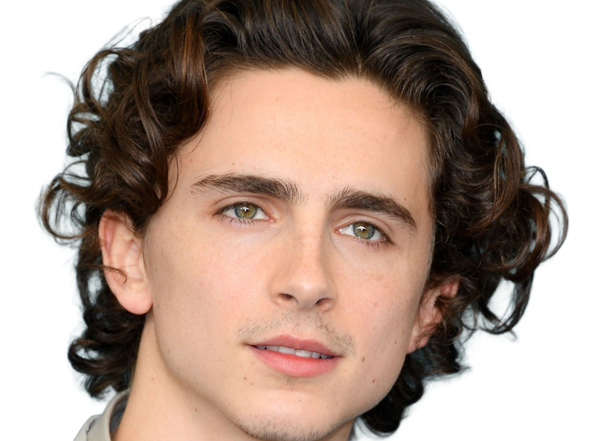 timothe chalamet acteur americain francais cinema homme vingtenaire vingtaine cheveux-bruns cheveux-boucles yeux-verts 2019