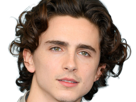 timothe-chalamet-acteur-americain-francais-cinema-homme-vingtenaire-vingtaine-cheveux-bruns-cheveux-boucles-yeux-verts-2019