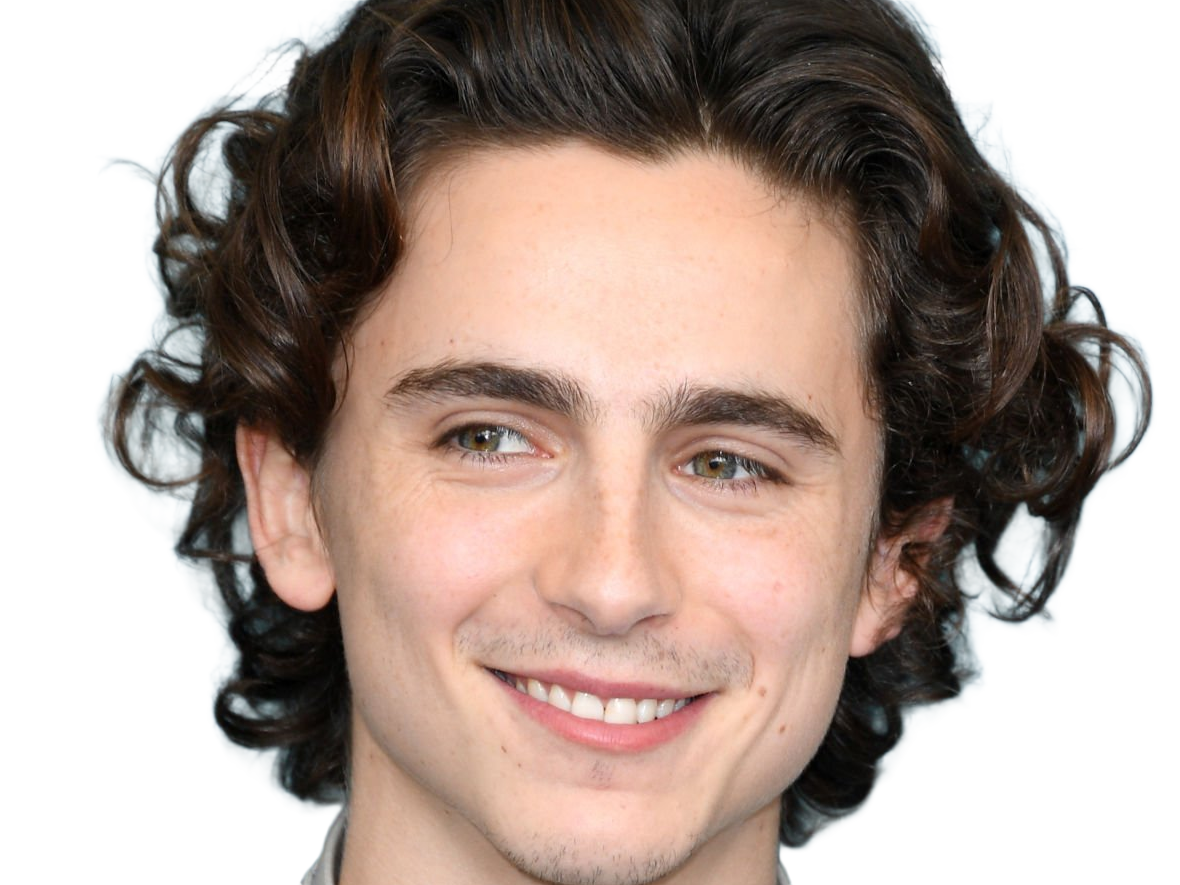 timothe chalamet acteur americain francais cinema homme vingtenaire vingtaine cheveux-bruns cheveux-boucles yeux-verts 2019