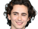 timothe-chalamet-acteur-americain-francais-cinema-homme-vingtenaire-vingtaine-cheveux-bruns-cheveux-boucles-yeux-verts-2019