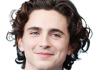 timothe-chalamet-acteur-americain-francais-cinema-homme-vingtenaire-vingtaine-cheveux-bruns-cheveux-boucles-yeux-verts-2019