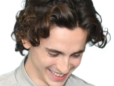 timothe chalamet acteur americain francais cinema homme vingtenaire vingtaine cheveux-bruns cheveux-boucles yeux-verts 2019