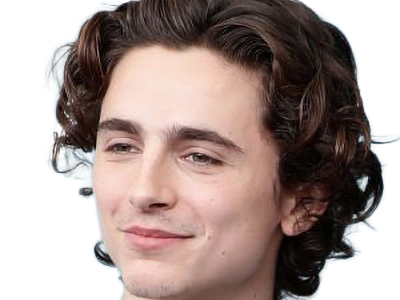 timothe chalamet acteur americain francais cinema homme vingtenaire vingtaine cheveux-bruns cheveux-boucles yeux-verts 2019