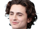 timothe-chalamet-acteur-americain-francais-cinema-homme-vingtenaire-vingtaine-cheveux-bruns-cheveux-boucles-yeux-verts-2019