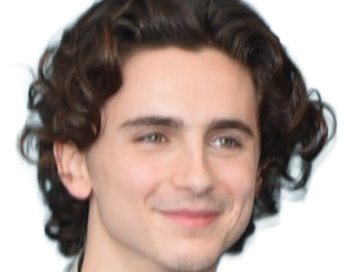 timothe chalamet acteur americain francais cinema homme vingtenaire vingtaine cheveux-bruns cheveux-boucles yeux-verts 2019