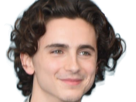 timothe-chalamet-acteur-americain-francais-cinema-homme-vingtenaire-vingtaine-cheveux-bruns-cheveux-boucles-yeux-verts-2019