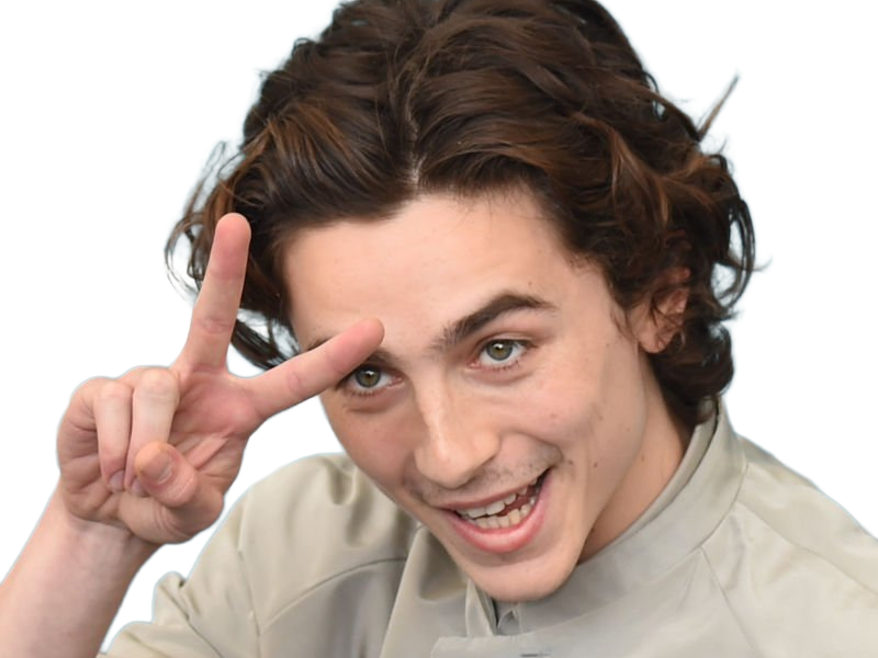 timothe chalamet acteur americain francais cinema homme vingtenaire vingtaine cheveux-bruns cheveux-boucles yeux-verts 2019