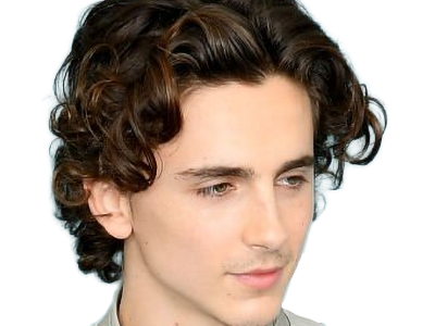 timothe chalamet acteur americain francais cinema homme vingtenaire vingtaine cheveux-bruns cheveux-boucles yeux-verts 2019
