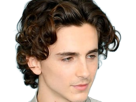 timothe-chalamet-acteur-americain-francais-cinema-homme-vingtenaire-vingtaine-cheveux-bruns-cheveux-boucles-yeux-verts-2019
