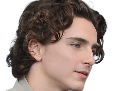 timothe chalamet acteur americain francais cinema homme vingtenaire vingtaine cheveux-bruns cheveux-boucles yeux-verts 2019