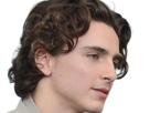 timothe-chalamet-acteur-americain-francais-cinema-homme-vingtenaire-vingtaine-cheveux-bruns-cheveux-boucles-yeux-verts-2019