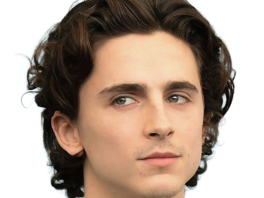 timothe chalamet acteur americain francais cinema homme vingtenaire vingtaine cheveux-bruns cheveux-boucles yeux-verts 2019
