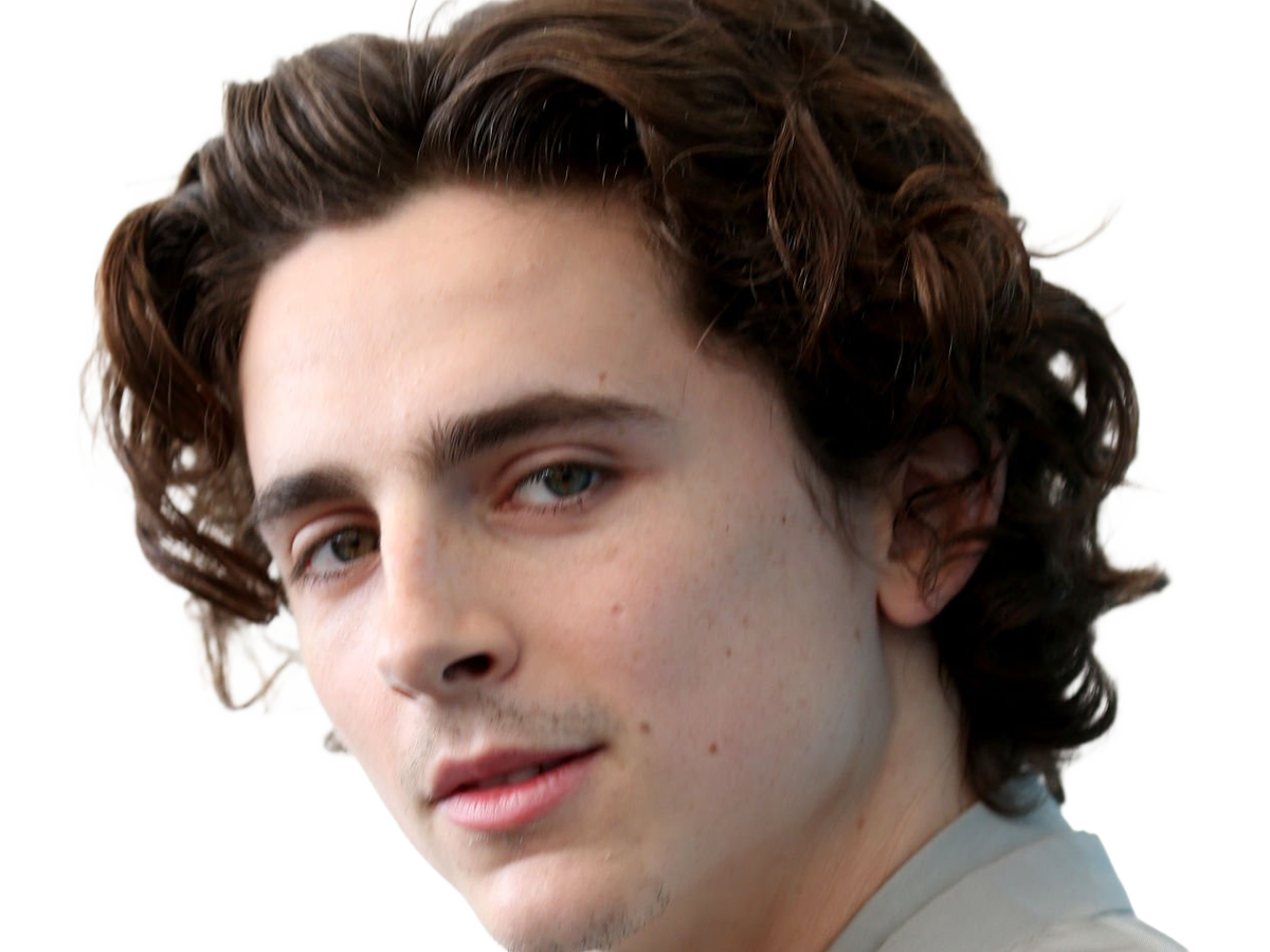 timothe chalamet acteur americain francais cinema homme vingtenaire vingtaine cheveux-bruns cheveux-boucles yeux-verts 2019