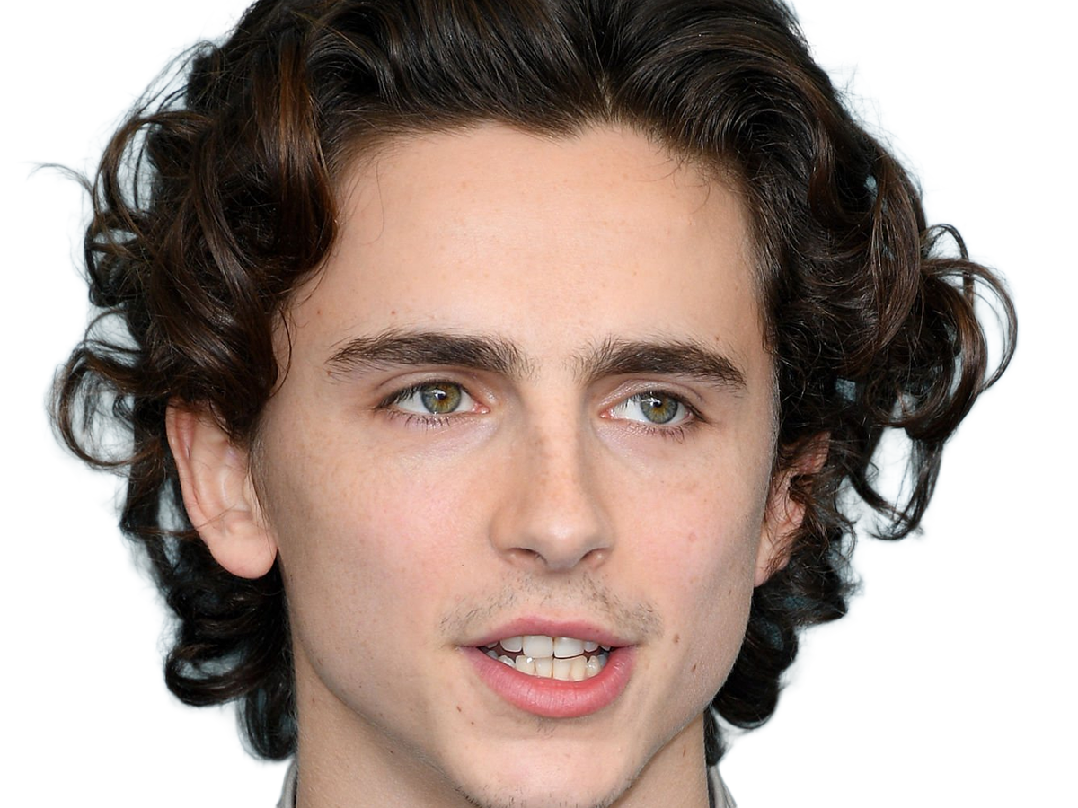 timothe chalamet acteur americain francais cinema homme vingtenaire vingtaine cheveux-bruns cheveux-boucles yeux-verts 2019