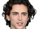 timothe-chalamet-acteur-americain-francais-cinema-homme-vingtenaire-vingtaine-cheveux-bruns-cheveux-boucles-yeux-verts-2019