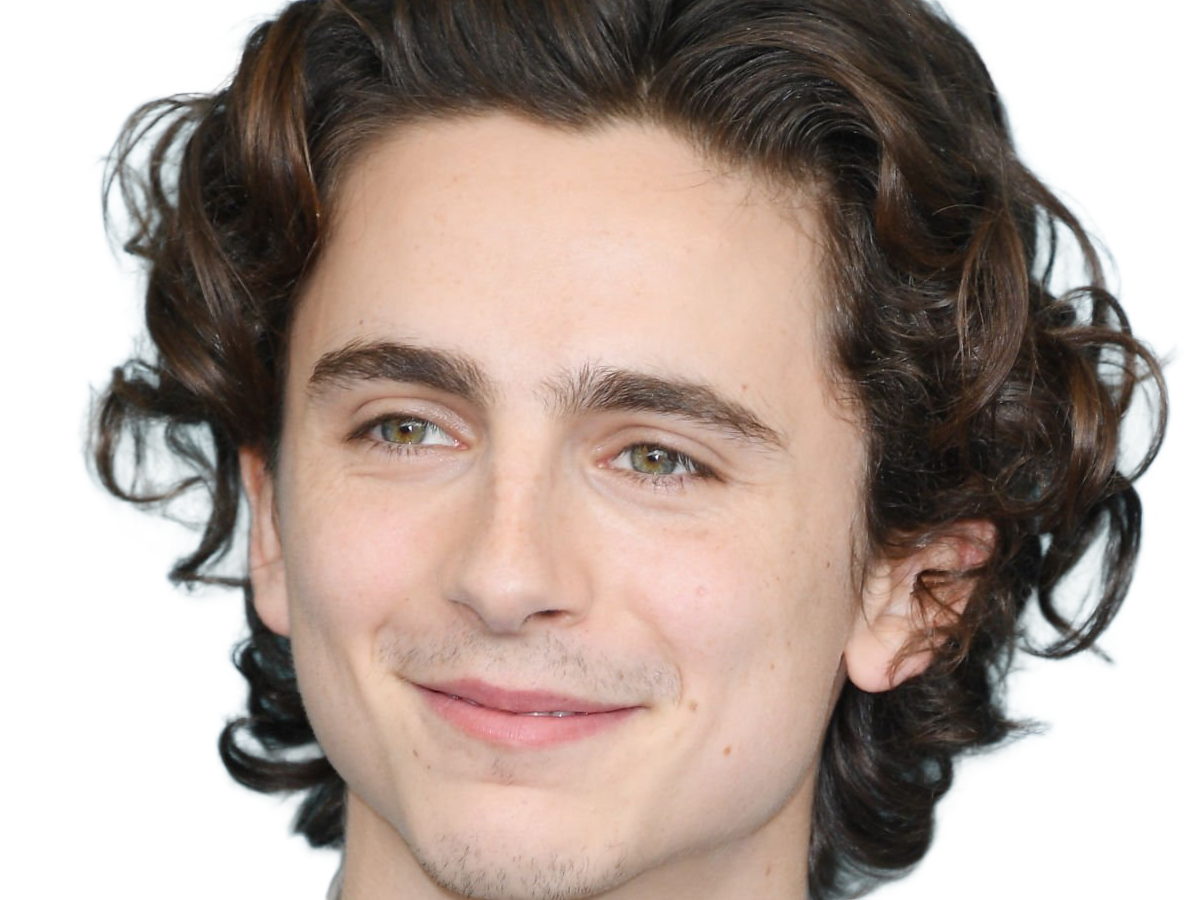 timothe chalamet acteur americain francais cinema homme vingtenaire vingtaine cheveux-bruns cheveux-boucles yeux-verts 2019