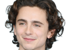 timothe-chalamet-acteur-americain-francais-cinema-homme-vingtenaire-vingtaine-cheveux-bruns-cheveux-boucles-yeux-verts-2019