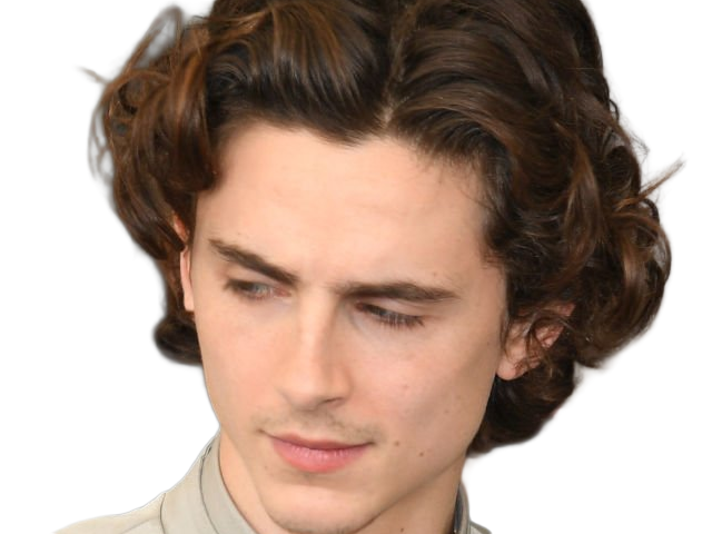 timothe chalamet acteur americain francais cinema homme vingtenaire vingtaine cheveux-bruns cheveux-boucles yeux-verts 2019