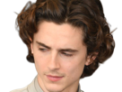 timothe-chalamet-acteur-americain-francais-cinema-homme-vingtenaire-vingtaine-cheveux-bruns-cheveux-boucles-yeux-verts-2019