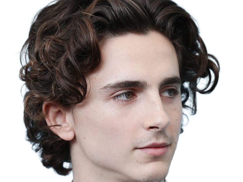 timothe chalamet acteur americain francais cinema homme vingtenaire vingtaine cheveux-bruns cheveux-boucles yeux-verts 2019
