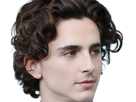 timothe-chalamet-acteur-americain-francais-cinema-homme-vingtenaire-vingtaine-cheveux-bruns-cheveux-boucles-yeux-verts-2019