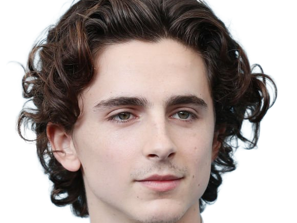 timothe chalamet acteur americain francais cinema homme vingtenaire vingtaine cheveux-bruns cheveux-boucles yeux-verts 2019