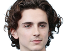 timothe-chalamet-acteur-americain-francais-cinema-homme-vingtenaire-vingtaine-cheveux-bruns-cheveux-boucles-yeux-verts-2019