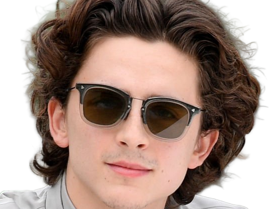timothe chalamet acteur americain francais cinema homme vingtenaire vingtaine cheveux-bruns cheveux-boucles yeux-verts 2019