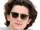 timothe-chalamet-acteur-americain-francais-cinema-homme-vingtenaire-vingtaine-cheveux-bruns-cheveux-boucles-yeux-verts-2019