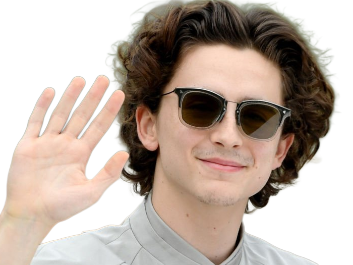 timothe chalamet acteur americain francais cinema homme vingtenaire vingtaine cheveux-bruns cheveux-boucles yeux-verts 2019