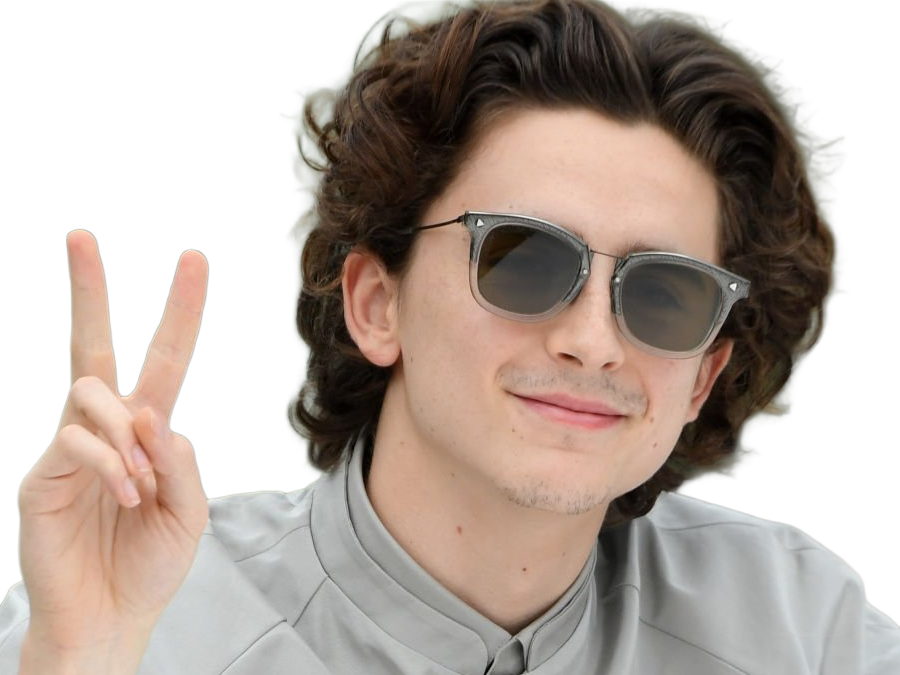 timothe chalamet acteur americain francais cinema homme vingtenaire vingtaine cheveux-bruns cheveux-boucles yeux-verts 2019