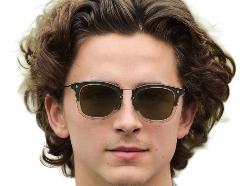 timothe chalamet acteur americain francais cinema homme vingtenaire vingtaine cheveux-bruns cheveux-boucles yeux-verts 2019