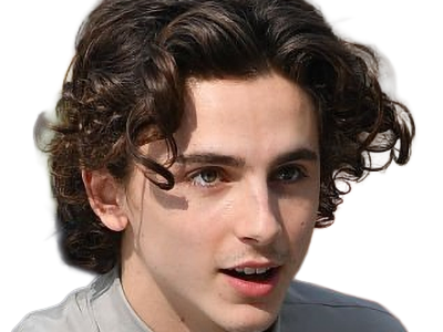 timothe chalamet acteur americain francais cinema homme vingtenaire vingtaine cheveux-bruns cheveux-boucles yeux-verts 2019