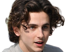 timothe-chalamet-acteur-americain-francais-cinema-homme-vingtenaire-vingtaine-cheveux-bruns-cheveux-boucles-yeux-verts-2019