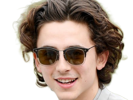 timothe chalamet acteur americain francais cinema homme vingtenaire vingtaine cheveux-bruns cheveux-boucles yeux-verts 2019
