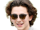 timothe-chalamet-acteur-americain-francais-cinema-homme-vingtenaire-vingtaine-cheveux-bruns-cheveux-boucles-yeux-verts-2019