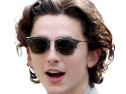 timothe chalamet acteur americain francais cinema homme vingtenaire vingtaine cheveux-bruns cheveux-boucles yeux-verts 2019