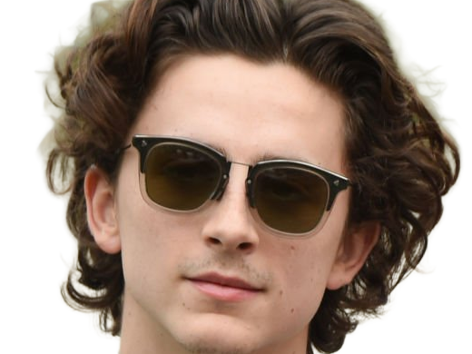 timothe chalamet acteur americain francais cinema homme vingtenaire vingtaine cheveux-bruns cheveux-boucles yeux-verts 2019
