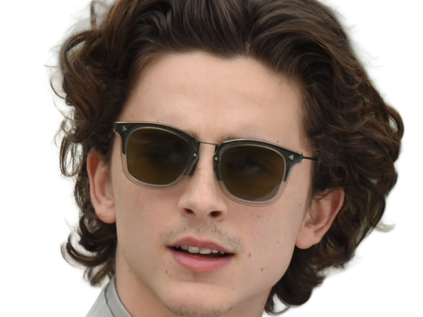 timothe chalamet acteur americain francais cinema homme vingtenaire vingtaine cheveux-bruns cheveux-boucles yeux-verts 2019