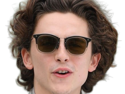 timothe chalamet acteur americain francais cinema homme vingtenaire vingtaine cheveux-bruns cheveux-boucles yeux-verts 2019