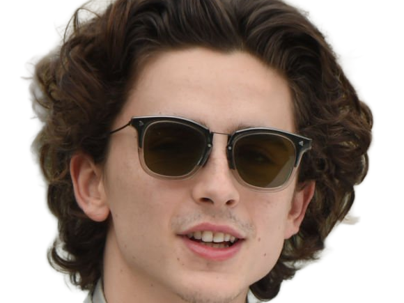 timothe chalamet acteur americain francais cinema homme vingtenaire vingtaine cheveux-bruns cheveux-boucles yeux-verts 2019