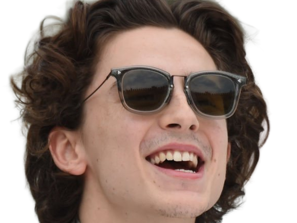 Sticker timothe chalamet acteur americain francais cinema homme vingtenaire vingtaine cheveux bruns cheveux boucles yeux verts 2019 par Dark-63