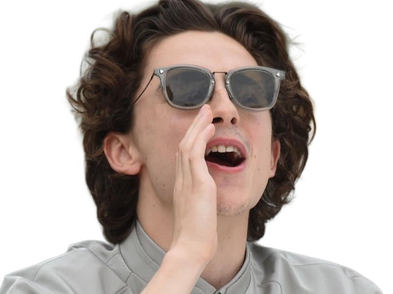 timothe chalamet acteur americain francais cinema homme vingtenaire vingtaine cheveux-bruns cheveux-boucles yeux-verts 2019