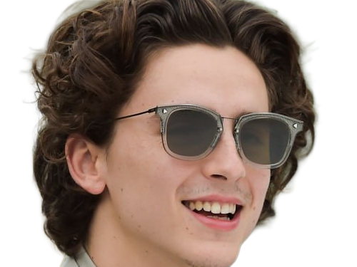 timothe chalamet acteur americain francais cinema homme vingtenaire vingtaine cheveux-bruns cheveux-boucles yeux-verts 2019