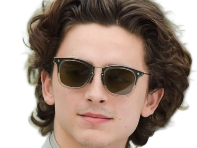 timothe chalamet acteur americain francais cinema homme vingtenaire vingtaine cheveux-bruns cheveux-boucles yeux-verts 2019