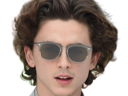 timothe chalamet acteur americain francais cinema homme vingtenaire vingtaine cheveux-bruns cheveux-boucles yeux-verts 2019