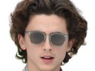 timothe-chalamet-acteur-americain-francais-cinema-homme-vingtenaire-vingtaine-cheveux-bruns-cheveux-boucles-yeux-verts-2019