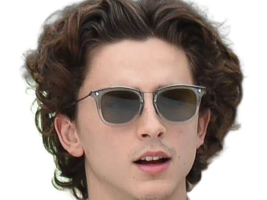 Sticker timothe chalamet acteur americain francais cinema homme vingtenaire vingtaine cheveux bruns cheveux boucles yeux verts 2019 par Dark-63
